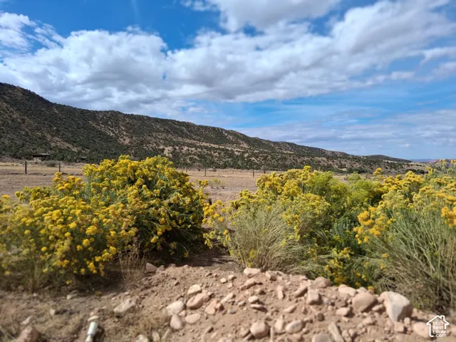 Expansive rural acreage featuring native flowering vegetation, prominent mountain topography, and post-and-wire fencing