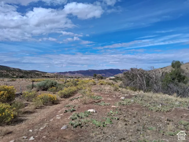 Expansive terrain featuring native desert flora, shrubbery, and prominent mountain silhouettes against an open sky