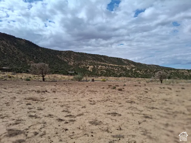 Expansive desert landscape featuring natural terrain, mature trees, and a mountain backdrop