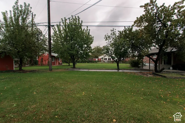 Expansive backyard featuring a large grass lawn, mature trees, and a detached storage structure