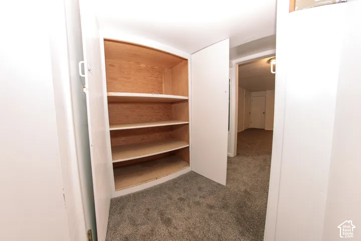 Built-in storage cabinet featuring natural wood-finish shelving and white double-door enclosure