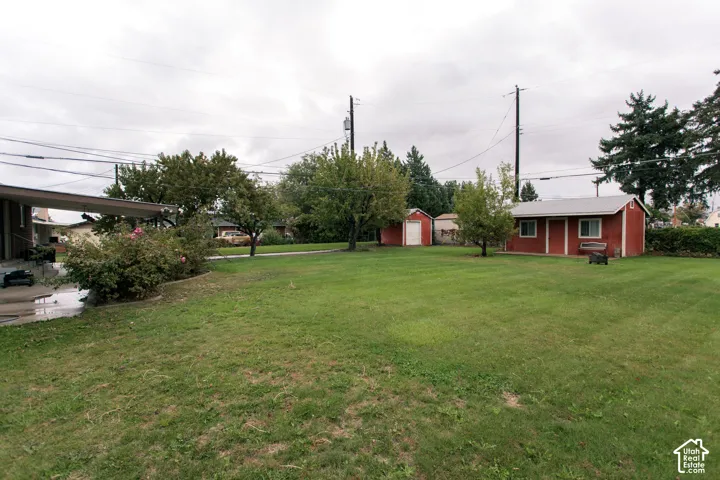 Expansive backyard featuring a large grass lawn, mature trees, two detached outbuildings, and a covered patio area