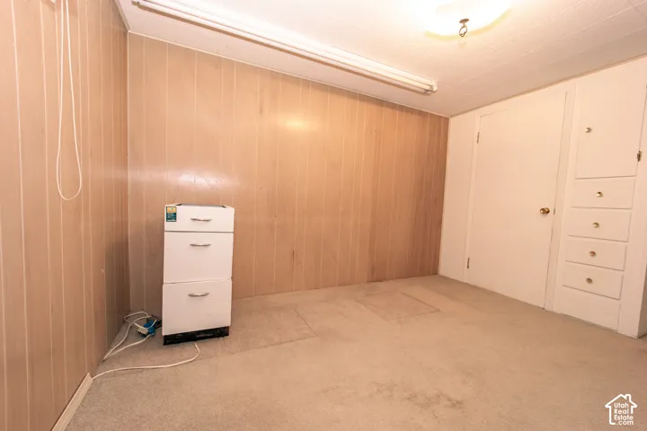 Wood-paneled walls, built-in storage cabinetry with drawers, neutral carpeting, and a flush-mount ceiling light fixture