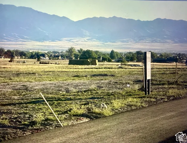 Expansive acreage featuring prominent mountain backdrop and level topography