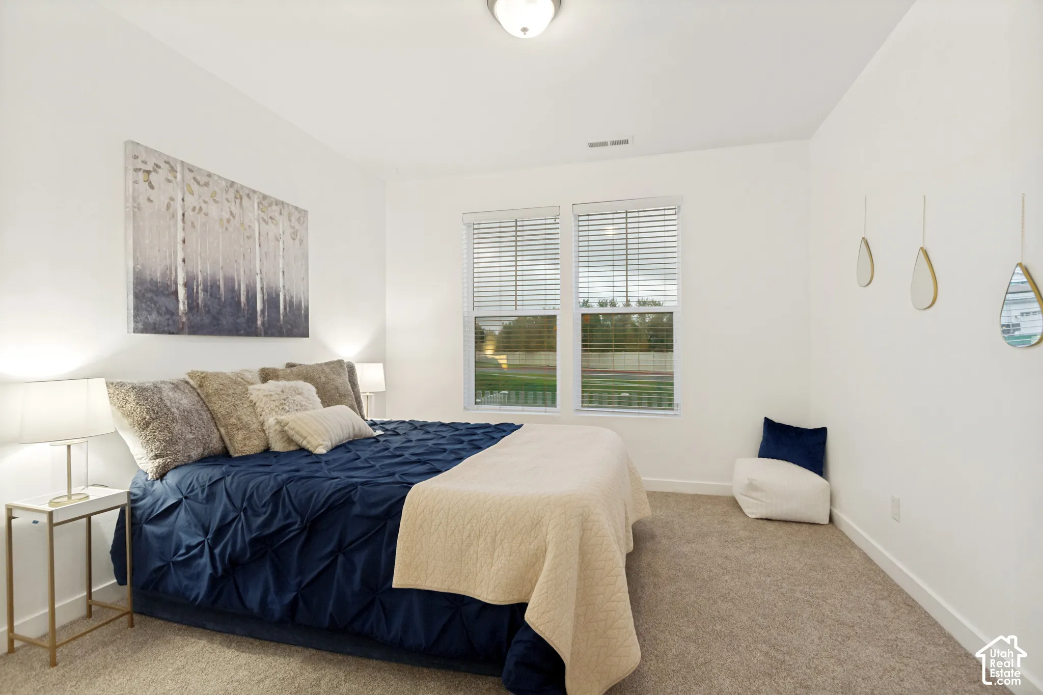 Neutral-toned carpeted flooring, white walls, flush-mount ceiling lighting, and double-pane windows with horizontal blinds