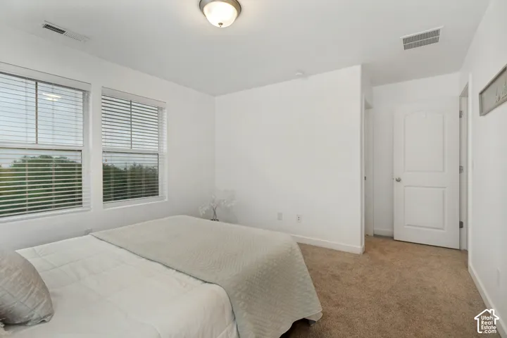 Neutral-toned carpeted flooring, dual windows with horizontal blinds, and a solid-core interior door with a brushed nickel handle