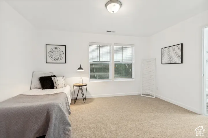 Room featuring neutral-toned carpeting, dual windows with integrated horizontal blinds, and a flush-mount overhead light fixture