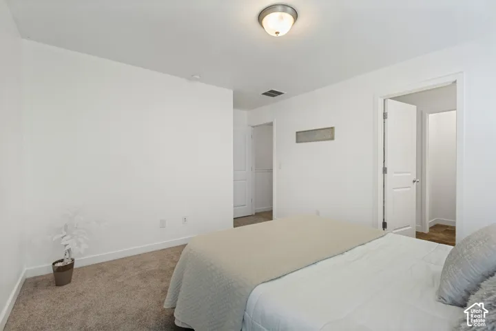 Neutral-toned wall-to-wall carpeting, white interior doors with raised-panel detailing, and a flush-mount ceiling light fixture