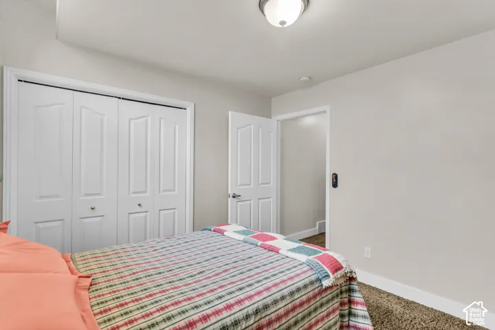 Neutral wall paint, plush carpeting, white six-panel interior doors, and a double-door closet with white trim