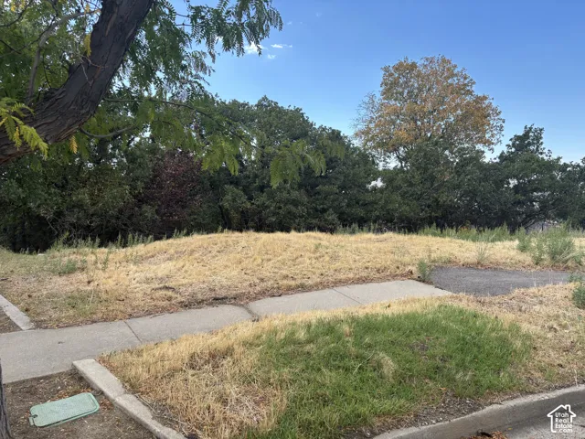 Vacant parcel featuring concrete sidewalk, asphalt curb, and mature perimeter trees