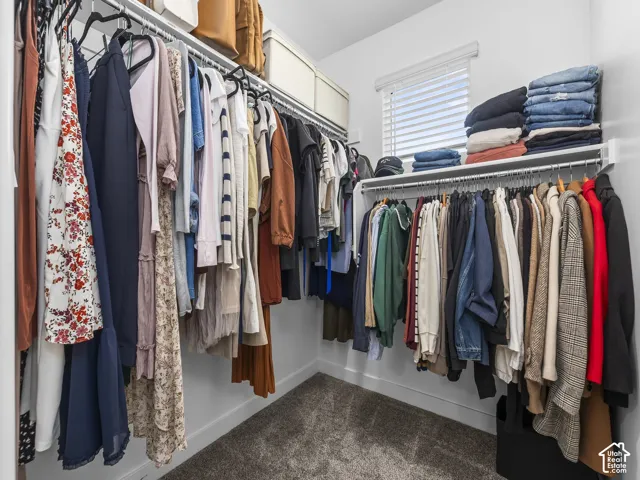Walk-in closet featuring multi-level built-in shelving, dual-tier metal hanging rods, plush carpeting, and a window with fitted blinds