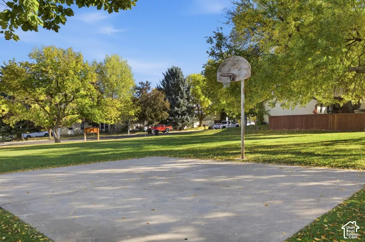 Concrete sports court featuring a mounted basketball hoop, expansive grass lawn, and mature trees