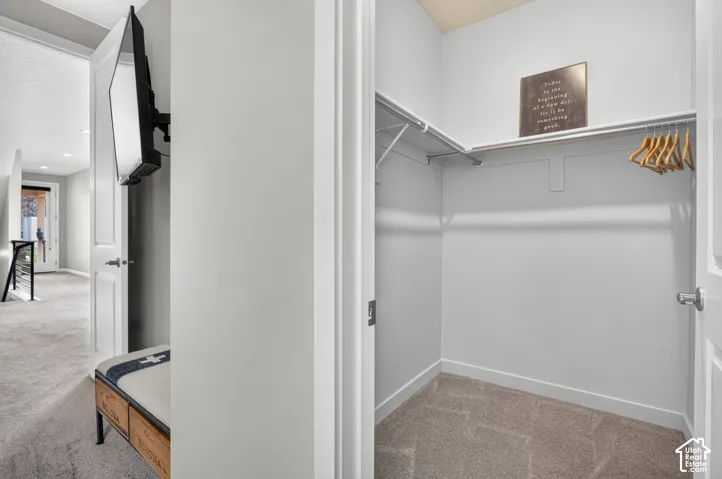 Walk-in closet featuring wall-to-wall carpeting and integrated white wire shelving