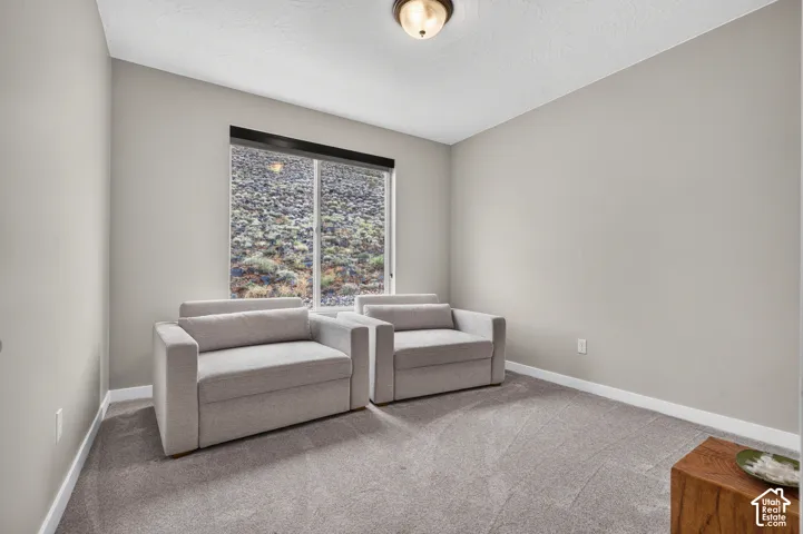 Neutral-toned interior featuring wall-to-wall carpeting, a sliding window with a rocky hillside backdrop, and a ceiling-mounted flush-mount light fixture