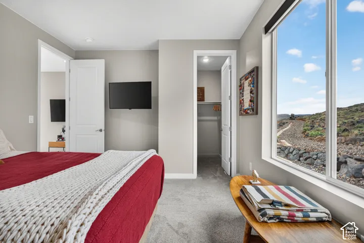 Neutral-toned interior featuring wall-to-wall carpeting, large picture window with desert landscape backdrop, and built-in closet with shelving