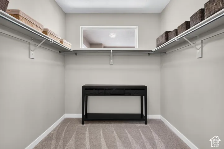 Walk-in closet featuring neutral carpeting, wrap-around shelving, integrated metal clothing rods, and a rectangular window