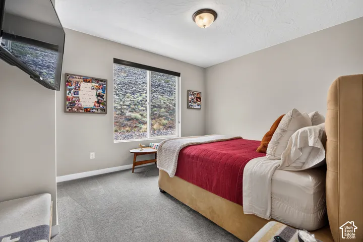 Neutral-toned bedroom featuring carpeting, a single-pane sliding window, and a flush-mount ceiling light fixture