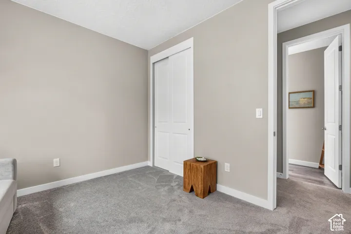 Neutral wall paint, plush carpeting, and a double-panel sliding closet door
