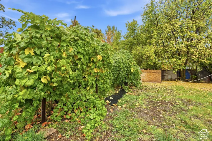 225 W 300 N, Hyrum, Utah 84319