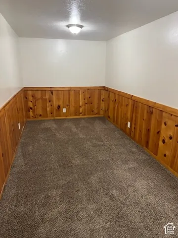 Interior room featuring wood-paneled wainscoting, textured carpeting, and a central dome-style ceiling light fixture