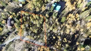 Wooded parcel featuring mature deciduous and coniferous trees, accessible via paved road frontage