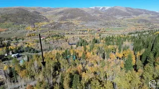 Wooded parcel featuring mature deciduous and coniferous trees, set against a backdrop of mountain ranges