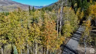 Expansive lot featuring mature aspen trees and mountain backdrop
