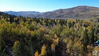 Expansive mountain terrain featuring dense stands of evergreen and deciduous trees