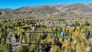 Aerial perspective of wooded parcel featuring dense mature trees and mountain terrain
