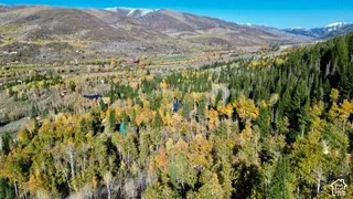 Aerial perspective featuring mountainous terrain, expansive forest canopy, deciduous foliage, and alpine meadows