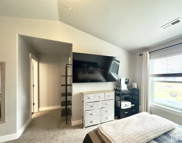Vaulted ceiling with neutral wall paint, recessed doorway, and a double-pane window featuring light-filtering blinds