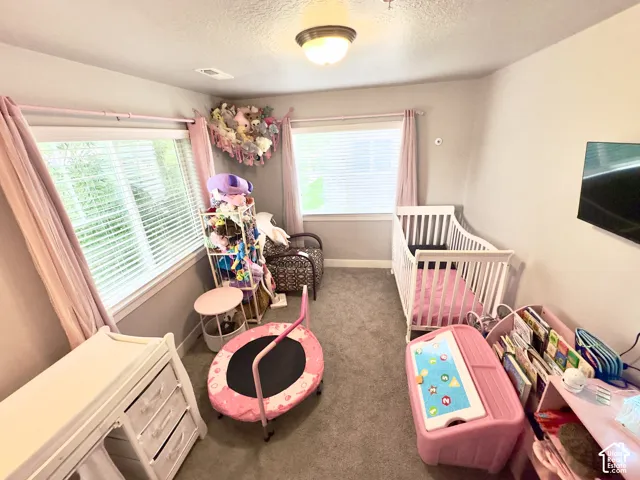 Neutral interior featuring plush wall-to-wall carpeting, dual windows with integrated blinds, and a centered flush-mount ceiling light fixture