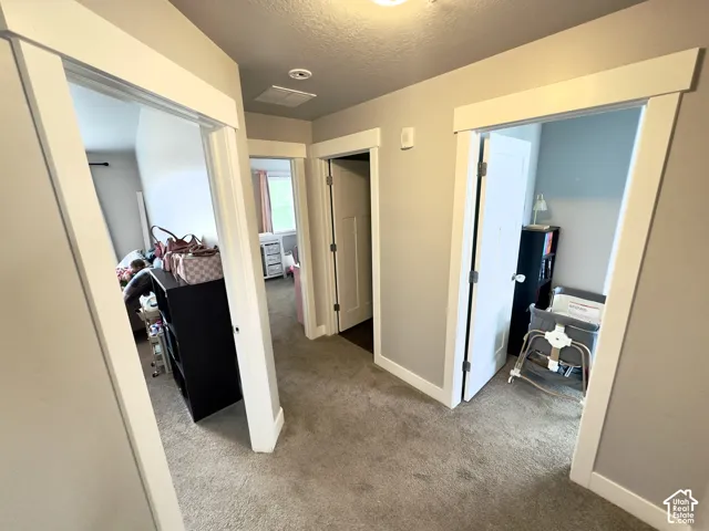 Hallway featuring neutral-toned carpeting, solid-core interior doors, and crisp white door casings