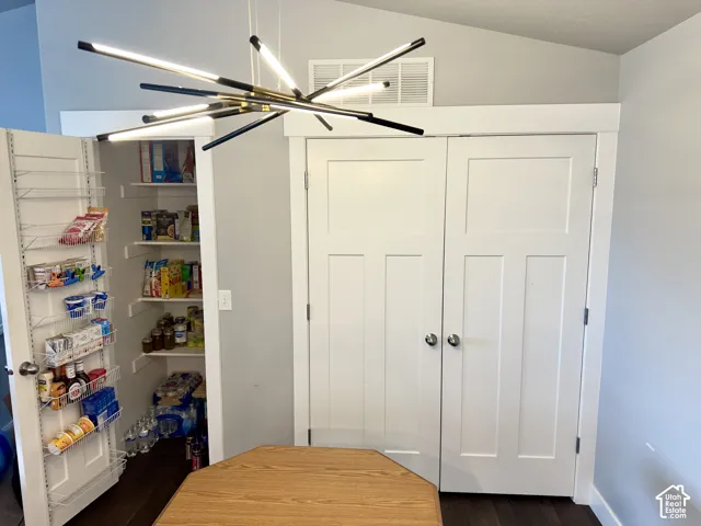 Modern linear sputnik chandelier with black and metallic finishes, walk-in pantry featuring white shelving and door-mounted storage, and double-panel white interior doors with round brushed nickel hardware