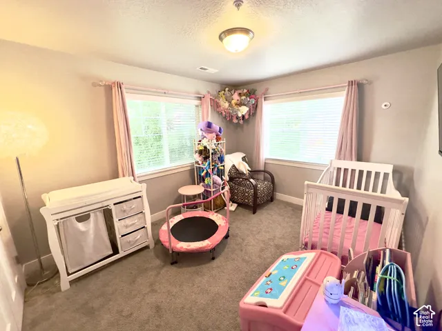 Room featuring neutral carpeting, light gray wall paint, dual windows, and a flush-mount ceiling light fixture