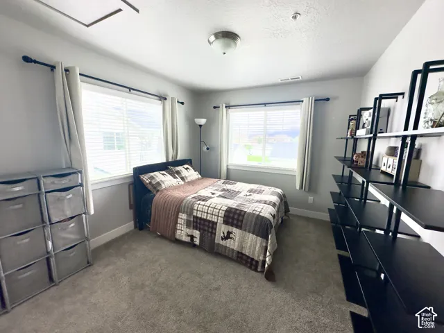 Neutral-toned bedroom featuring plush wall-to-wall carpeting, dual windows, and flush-mount ceiling lighting