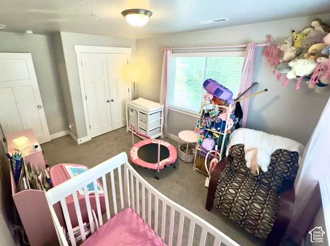 Room featuring neutral wall tones, carpeted flooring, double-door closet with shaker-style panels, and a large window with horizontal blinds