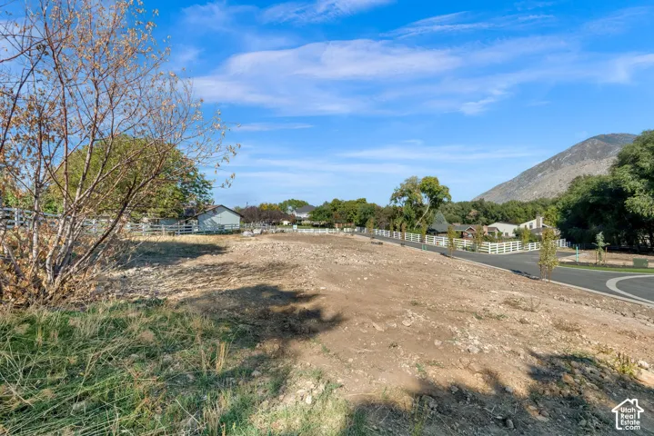 Expansive land parcel with a paved road, white fencing, mature trees, and mountain backdrop