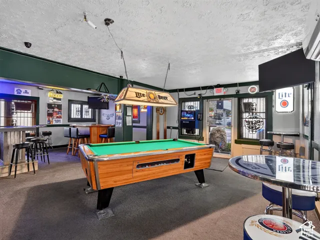 Finished space with green painted walls, dark green trim, wall-to-wall carpeting, and metal-framed windows with security bars
