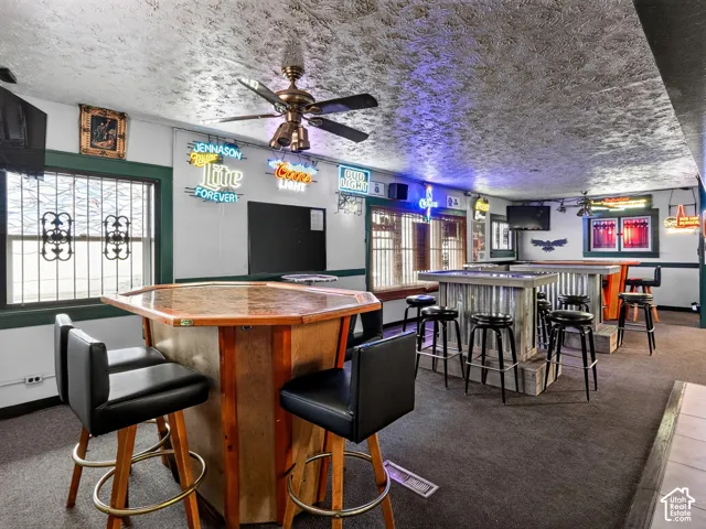 Textured ceiling, built-in bar with corrugated metal paneling and metal-trimmed surface, multi-pane windows with metal security bars, and overhead ceiling fan