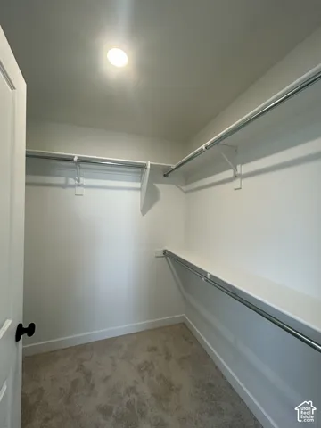 Walk-in closet featuring neutral carpeting, white shelving, and dual-level metal hanging rods
