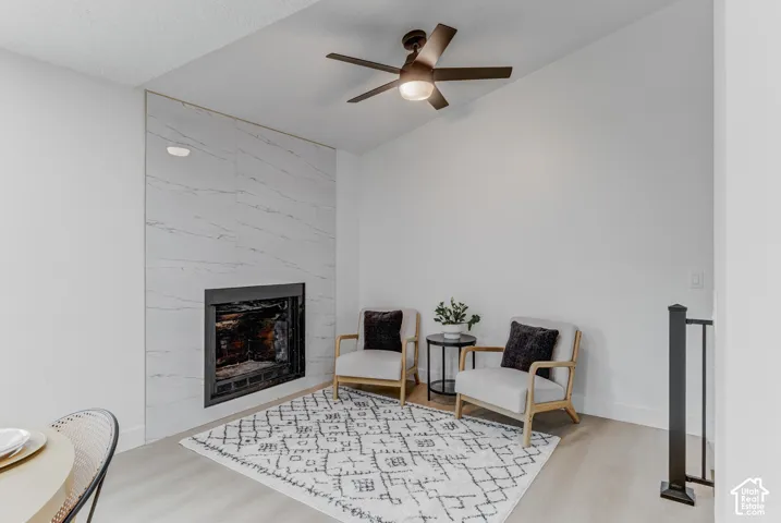 Seating Area/Fireplace