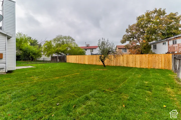 Large Backyard