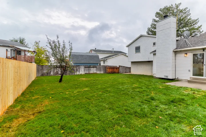 Large Backyard
