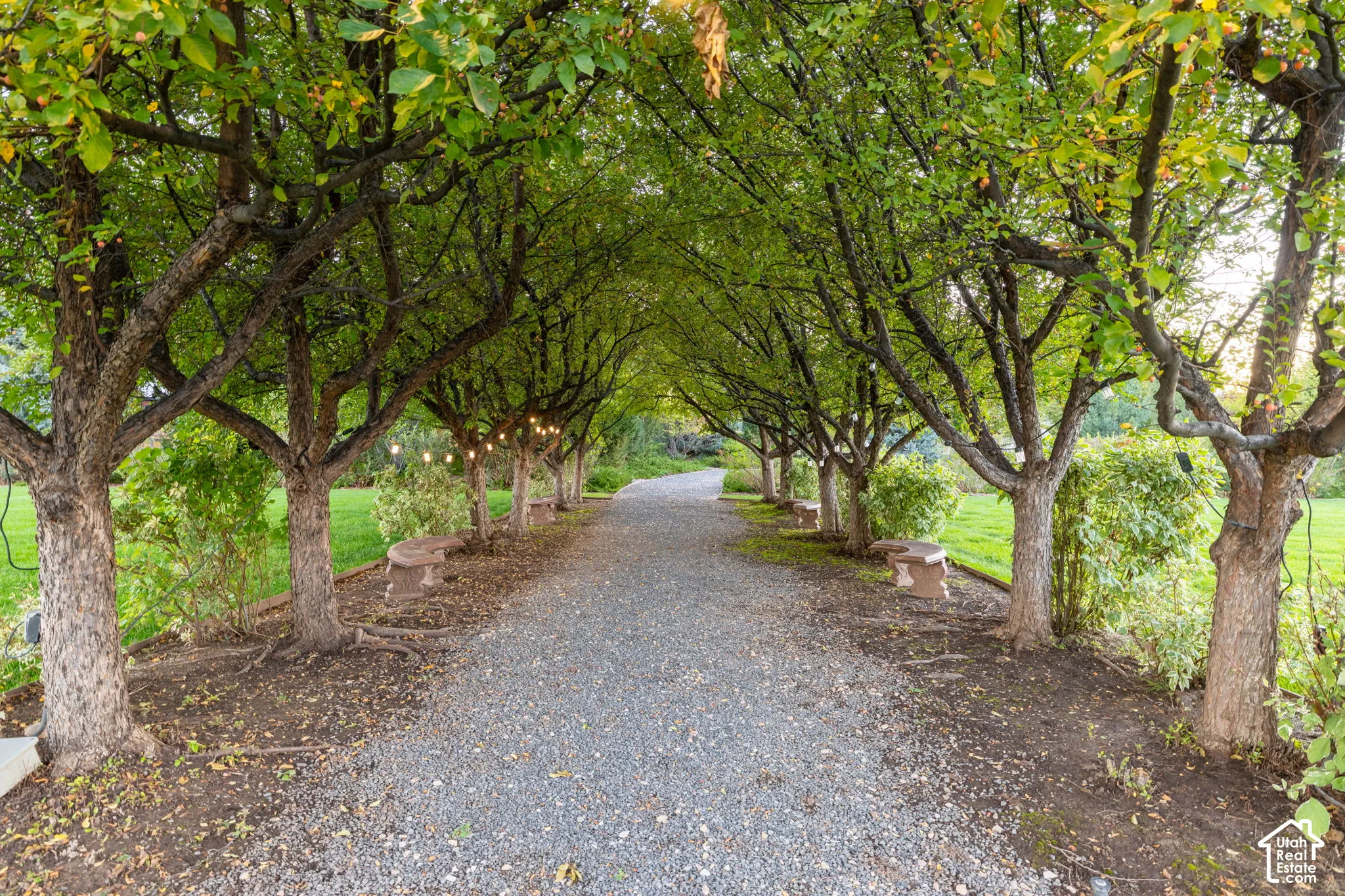Gravel path lined by a mature tree canopy featuring stone benches and manicured turf