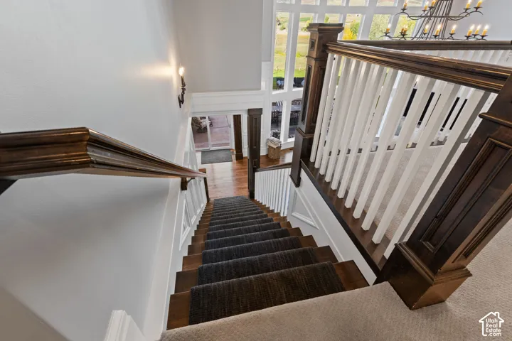 Staircase featuring dark-stained wood railings, white balusters, carpeted treads, and wall-mounted sconce lighting