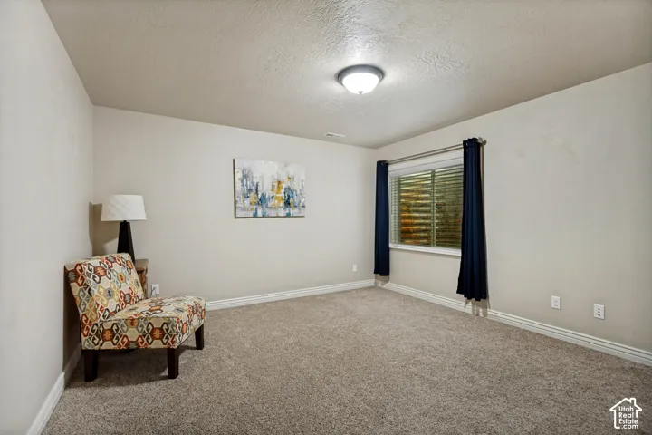 Neutral-toned room featuring wall-to-wall carpeting, textured ceiling, and a flush-mount light fixture