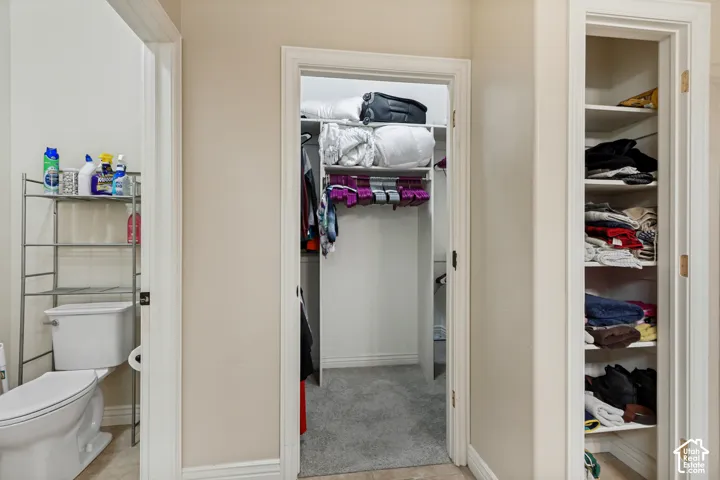 Walk-in closet featuring white composite shelving and carpeted flooring, accompanied by a separate built-in linen storage closet with tiered shelving and a private water closet
