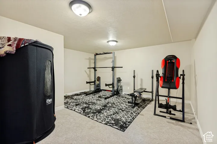 Neutral-toned interior space featuring light-colored wall-to-wall carpeting and dual flush-mount overhead lighting fixtures