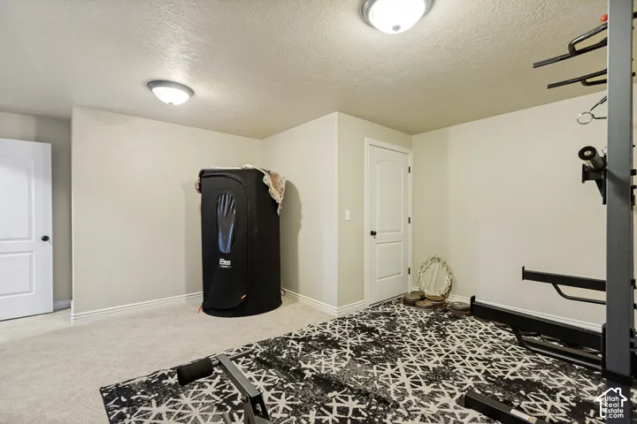 Neutral-toned room featuring high-pile carpeting, two flush-mount ceiling light fixtures, and two interior doors with arched-panel detailing